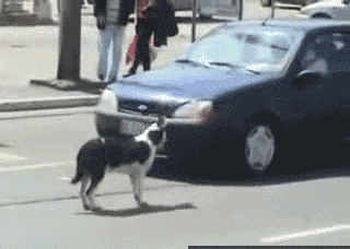This car ain't got sh*t on me.