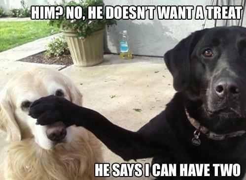 Him? He's not hungry.