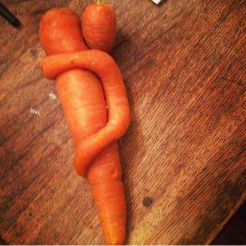 This carrot baby won’t let go of its moma.