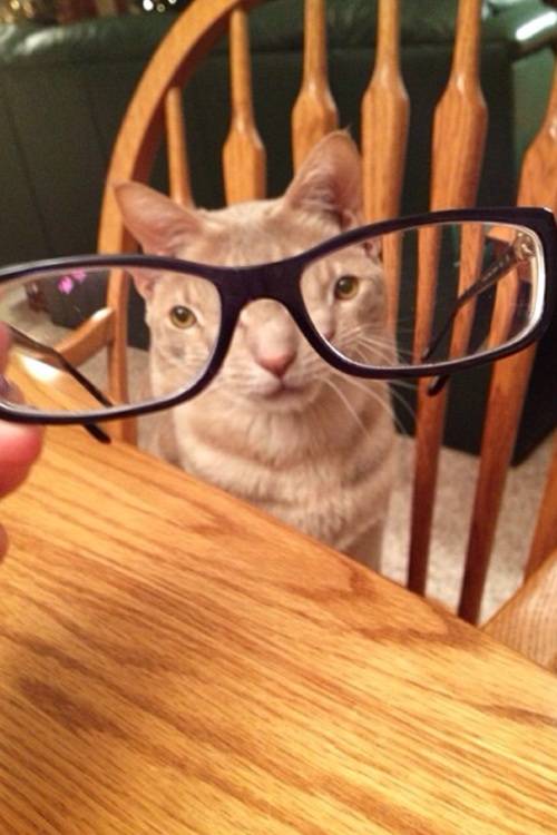 Whadda you lookin' at??