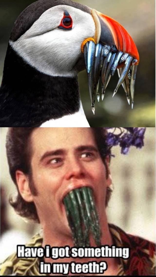 You got a little something there...