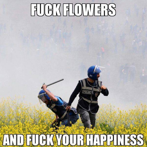 As an allergy sufferer.
