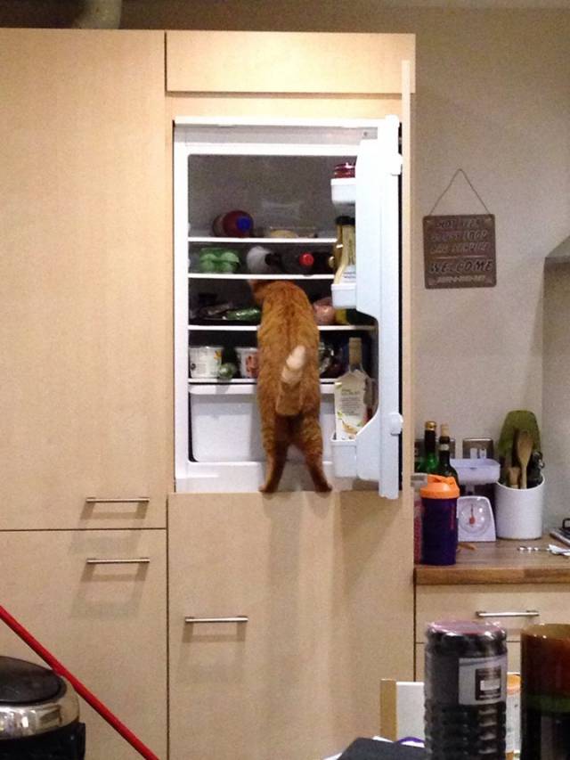 She turns around for one moment, and this happens...