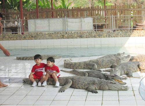 Quit f*ckin’ around... those alligator skin Nikes aren’t going to make themselves!