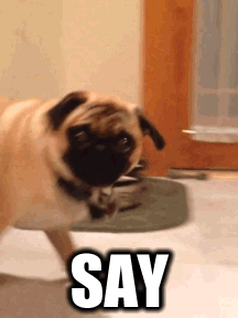 My favorit GIF.