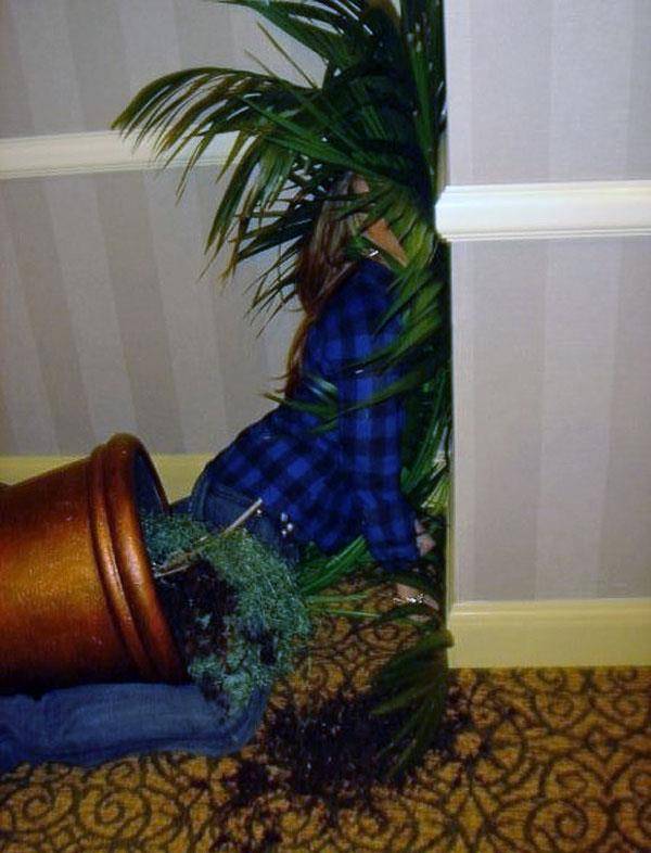 Face Palm or Face Plant... You make the call