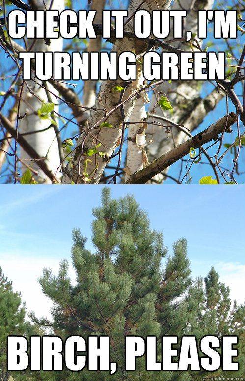 Finally, Spring!