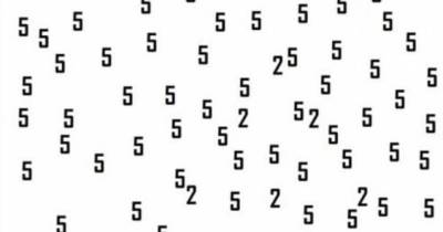 Can You Spot The Shape Hidden In This Image? Just One In Every 2,000 People Can Solve It!