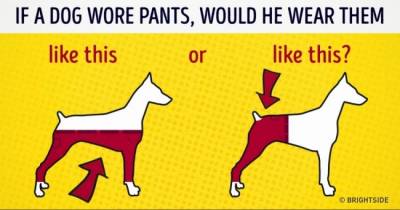 10 Puzzles That Will Blow Your Mind