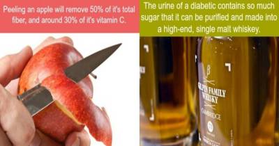 Fun Food Facts That Will Probably Shock You