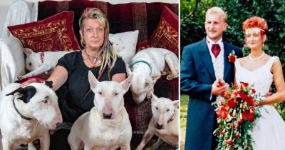 Husband Says 'It’s Me Or The Dog' Wife Chooses Her Beloved Bull Terriers, Ends 25-Year Marriage