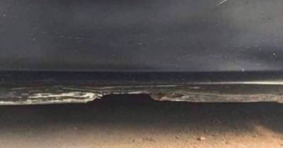 An Optical Illusion Image Has Internet Divided Over Whether It Is A Car Door Or A Beach Scene