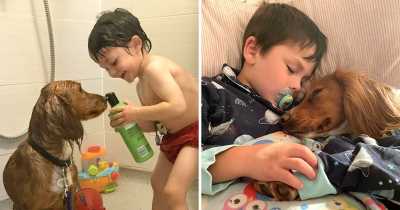 4-Year-Old Autistic Boy Learns To Communicate With The Help Of His Dog