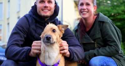 Dog Who Had His Face Cut Off By Cruel Owner Finally Gets To Meet The Family Who Saved His Life