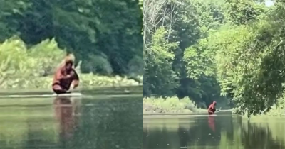Could This Be Big Foot Carrying A Baby?