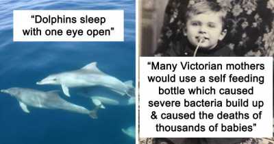 23 Brutal Facts That Will Make You Wonder Why You Didn't Know This Before