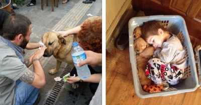 15 Heartwarming Pictures That Will Instantly Make You Fall In Love With Life Again