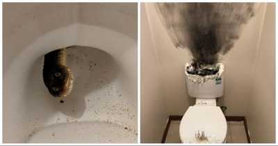 People Tried To Unsee Nasty Things They Had Already Seen But Simply Failed