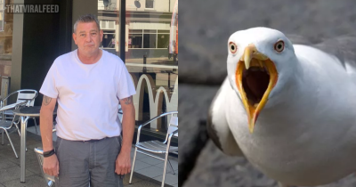 McDonald's Customer Demands Full Refund After Big Mac Stolen By Seagull