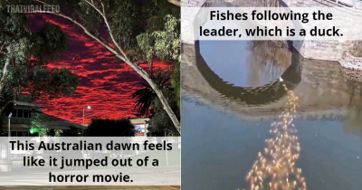 51 Of The Most Interesting Things Captured By This Online Group
