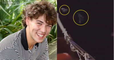 Shark Expert Shares What Teen Who Jumped Off Cruise Ship's Final Moments Would Have Been Like