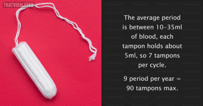 The Hilariously Bewildering World Of Female Anatomy Misconceptions Shared Online