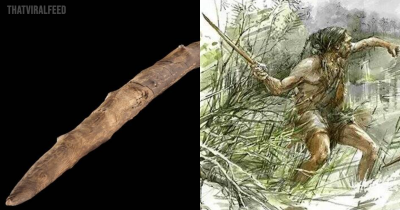 300,000-Year-Old Pointy Stick Found In Germany Is Among Oldest Documented Wooden Tools Made By Early Humans