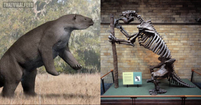 The Most Incredible Prehistoric Creatures That Once Inhabited Earth