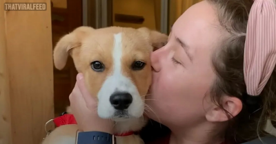 Terrified Puppy Who Kept Crying At A Shelter Finds Her Happily-Ever-After