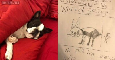 Heartbroken Seven-Year-Old Kid Draws ‘Wanted’ Poster To Help Find His Stolen Dog