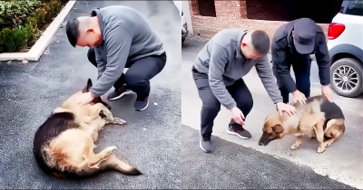 Former Police Dog 'Cries' After Reuniting With Handler She Hasn't Seen For Years