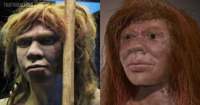 A Truly Unique Case Of The Only Known Individual With Parents From Two Different Species