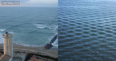 Square Waves Are So Dangerous You Should Get Out Of The Sea As Quickly As Possible