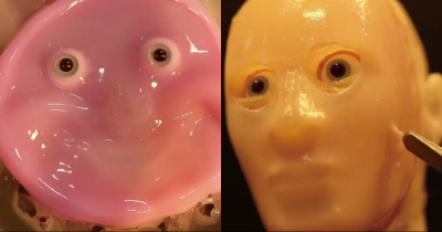 Scientists Made Robots With Lab-Grown Human Skin And Everyone's Spooked