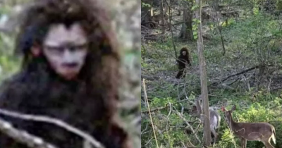 'Baby Bigfoot' Caught On Camera Wandering Through Woods With Deer