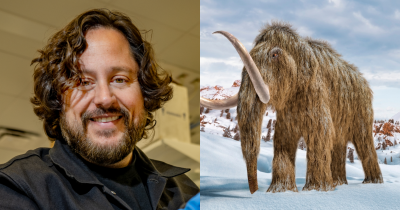 Man Working To 'De-extinct' The Woolly Mammoth Says They'll Likely Be Back By 2028