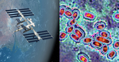 Bacteria On The International Space Station Has Mutated Into Something Never Seen Before On Earth