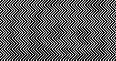 Only 1 In 100 People Can Find The Hidden Panda In This Picture