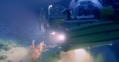 Chilling Discovery At The Bottom Of The Red Sea Leaves Scientists Stunned
