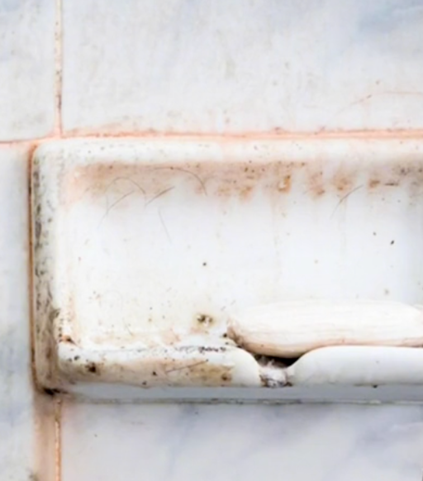 107545 thatviralfeed.com large 600122