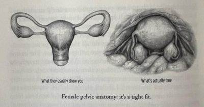 30+ Surprising Things People Learned About the Female Body That They Had to Share