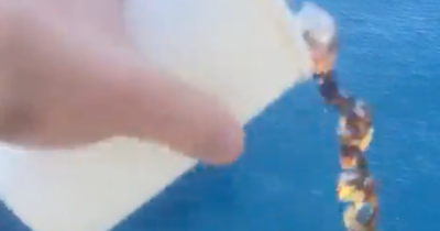 Terrifying Video Shows Why Falling Overboard Can Be A Deadly Mistake