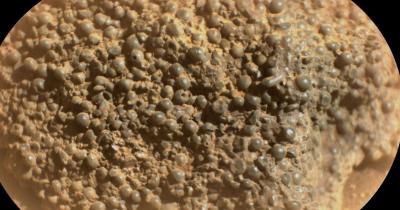 NASA's Mars Rover Finds Strange Sphere-Filled Rock That Has Scientists Completely Baffled