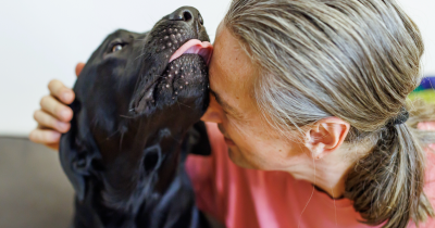 Doctor On TikTok Warns Why Letting Your Dog Lick Your Face Might Be A Serious Health Risk