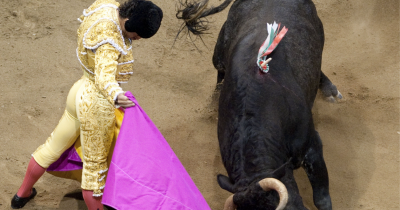 Matador's Haunting Last Words After Being Gored By Bull He Tripped In Front Of