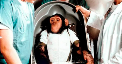 The Real Story Behind The Chimpanzee NASA Sent To Space In 1961